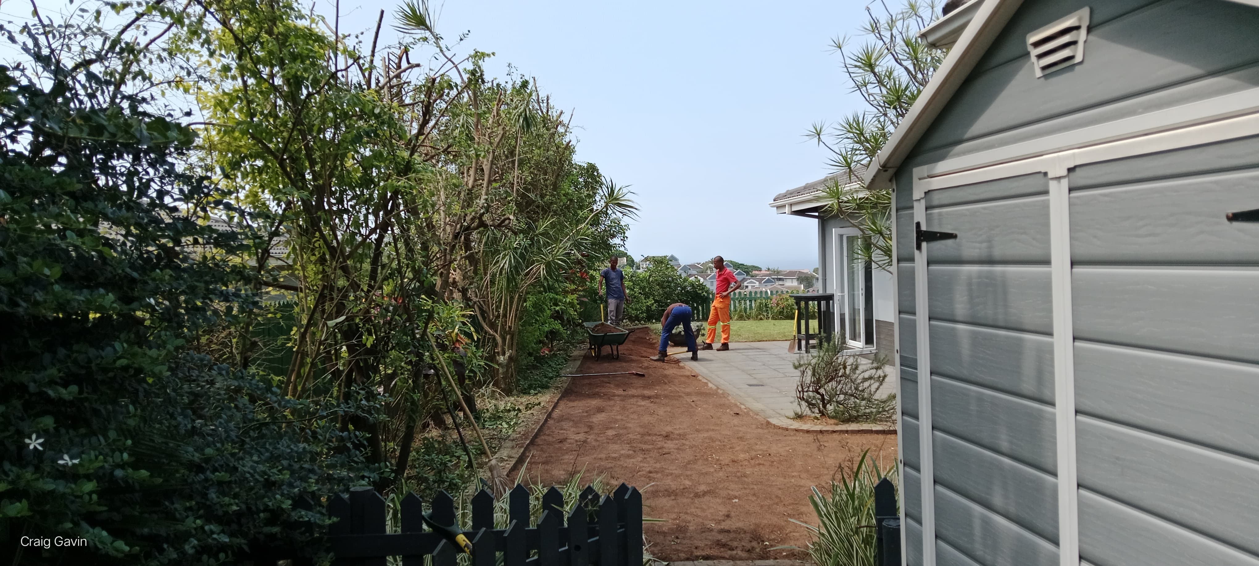 Instant lawn Before