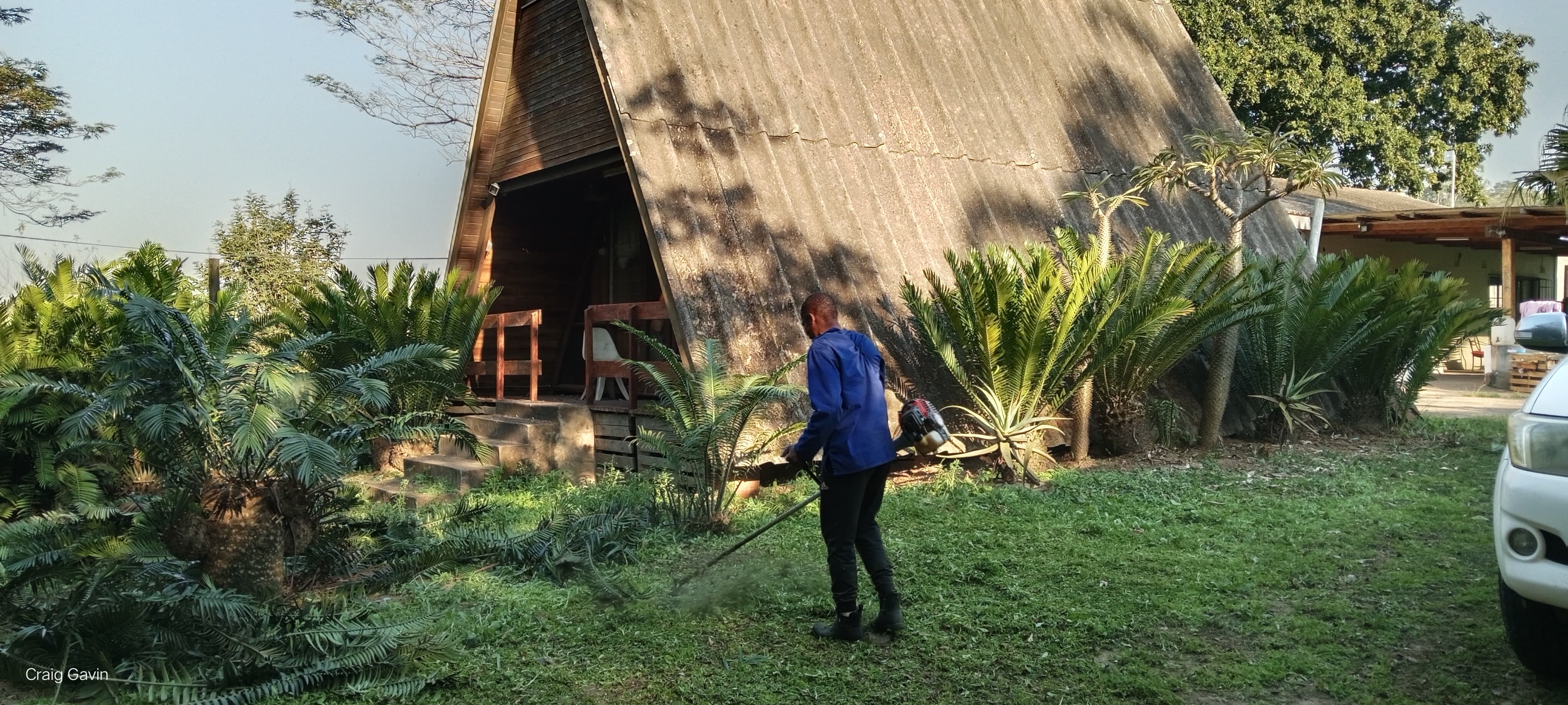 Site clearing and tree work